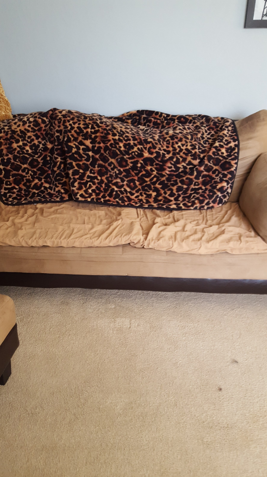 Hand-me-down futon